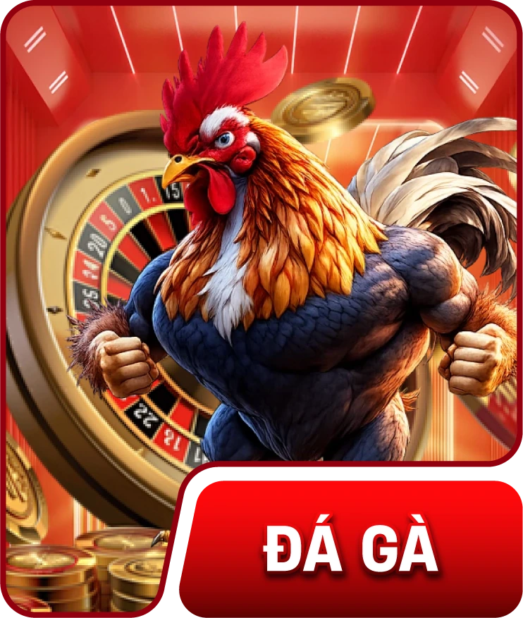 Đá gà 88VBET – Trực Tiếp Trận Đấu Mỗi Ngày Cho Kê Thủ